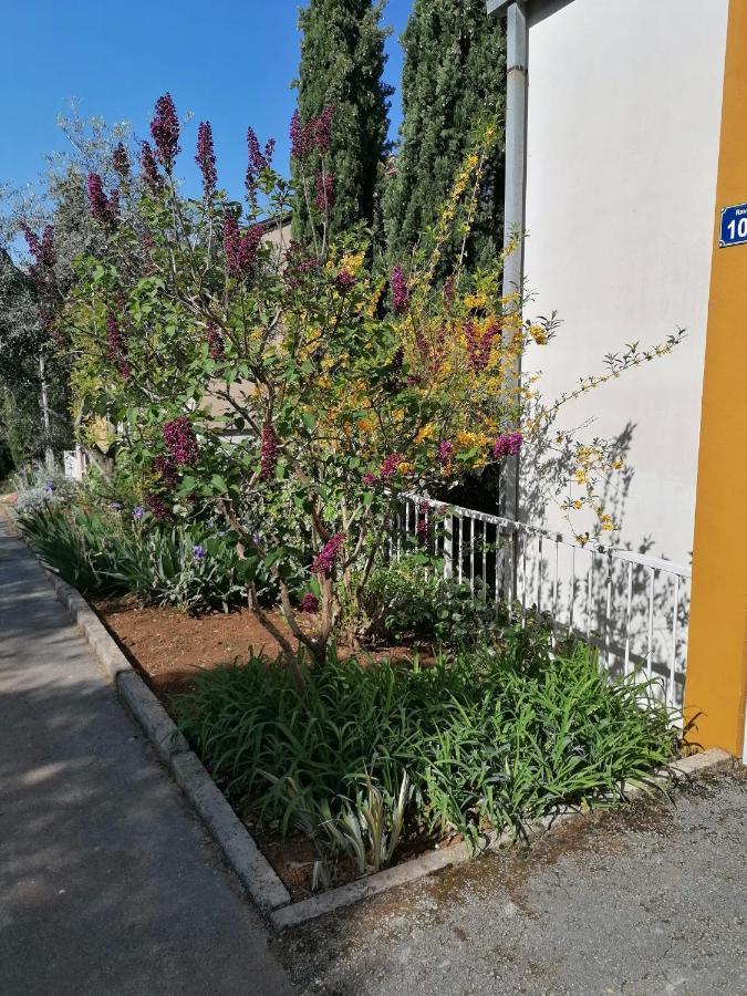 4 Roses Apartament *